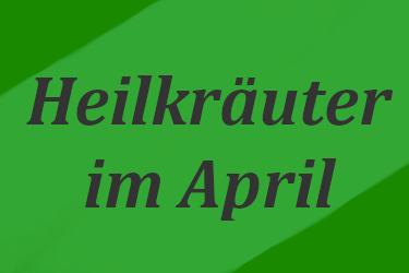 Text "Heilkräuter im April" auf grünem Hintergrund
