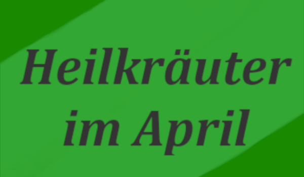 Heilkräuter im April Text "Heilkräuter im April" auf grünem Hintergrund